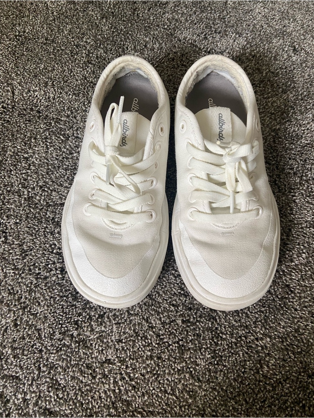 allbirds  Women’s Canvas Pipers - Blizzard (Blizzard Sole)